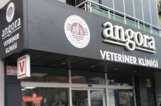 Angora Veteriner Kliniği – Eskişehir Odunpazarı Veteriner