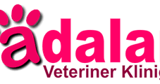 Adalar Veteriner Kliniği – Eskişehir Tepebaşı Veteriner