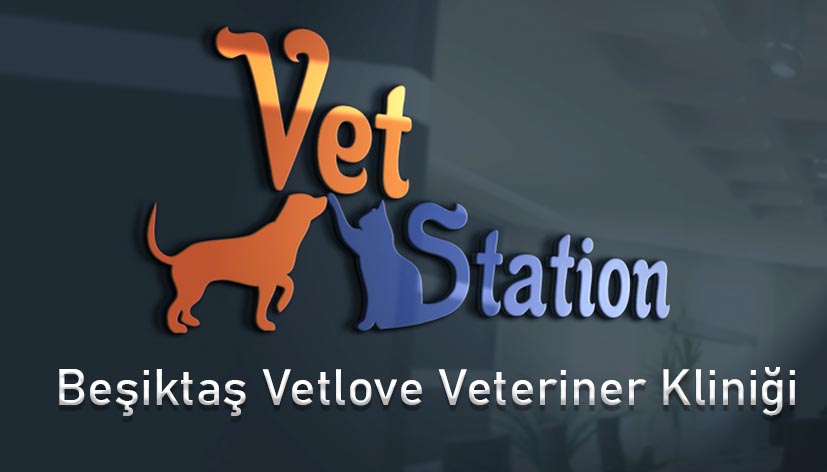 Beşiktaş Vetlove Veteriner Kliniği