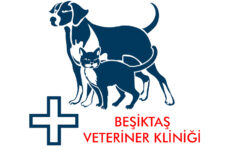 Beşiktaş Veteriner Kliniği