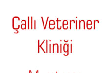 Çallı Veteriner Kliniği – Muratpaşa Veteriner Klinikleri