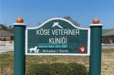 Köse Veteriner Kliniği – Serik Veteriner Klinikleri