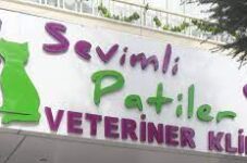 Sevimli Patiler Veteriner Kliniği – Melikgazi Veteriner Klinikleri