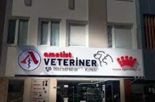 Ametist Veteriner Kliniği