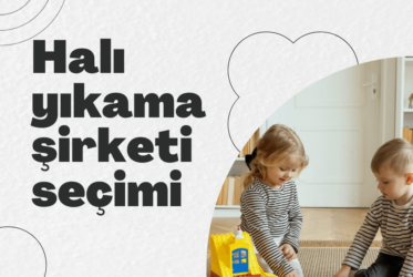 Halı Yıkama Şirketi Nasıl Seçilir?